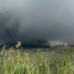 Erupsi Gunung Dukono Telan Korban Jiwa, Dua WNA dan Satu WNI Dilaporkan Meninggal