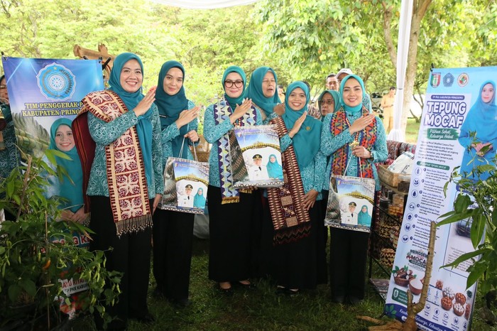 TP PKK Dorong Pemda Perkuat Program UP2K dan Tingkatkan Pemberdayaan Lansia