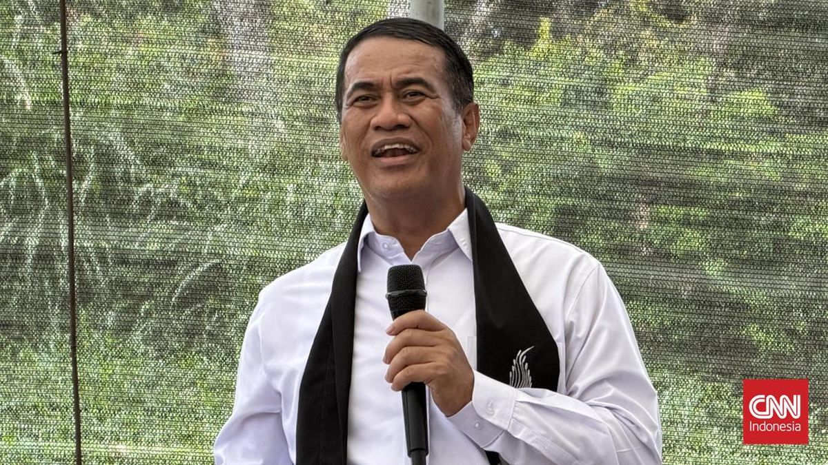 Amran Soroti Keuntungan Rp2 Triliun Penggilingan, Tegaskan Jangan Rampas Hak Rakyat