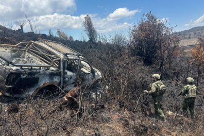 Sopir Travel Tewas di Jayawijaya, Polisi Temukan Selongsong Peluru Kaliber 5,56 Milimeter